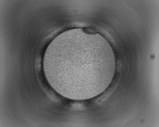 X0000101410358200808041110