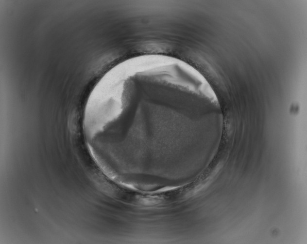 X0000101410359200808041110