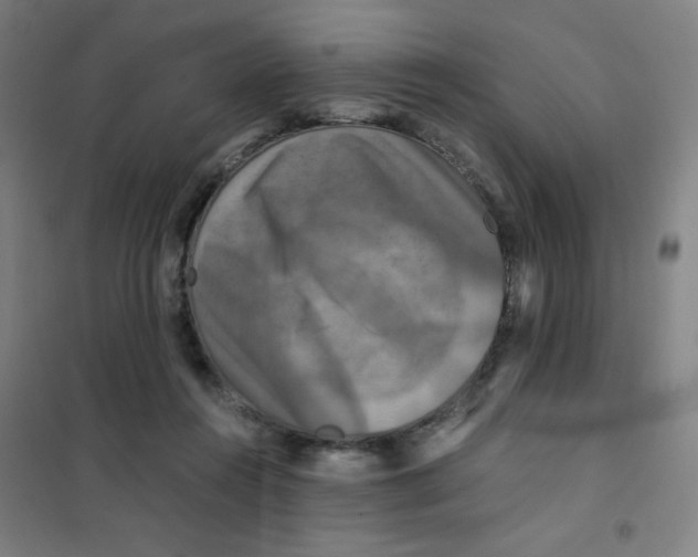 X0000101410360200808041110