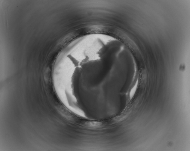 X0000101410361200808041110