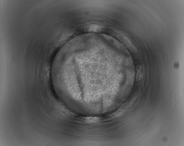 X0000101410363200808041110