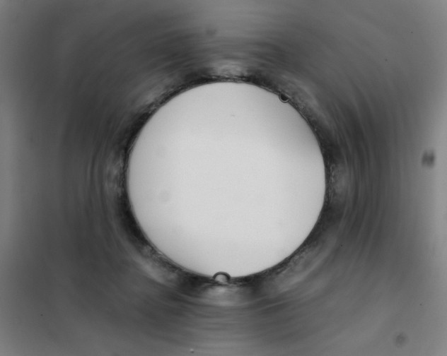X0000101410364200808041110