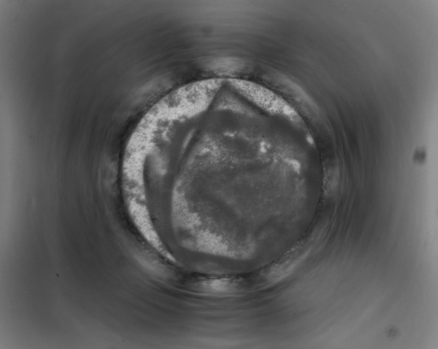 X0000101410365200808041110