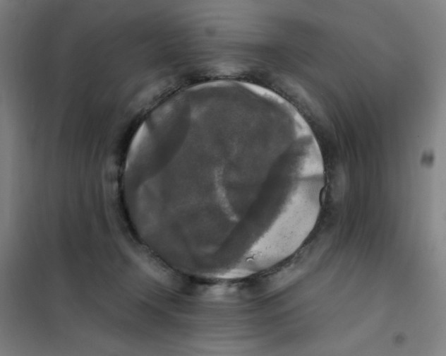 X0000101410366200808041110