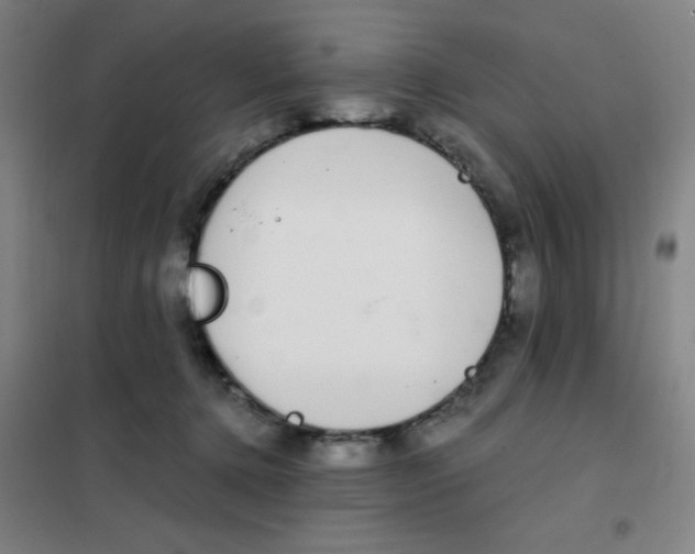 X0000101410368200808041110