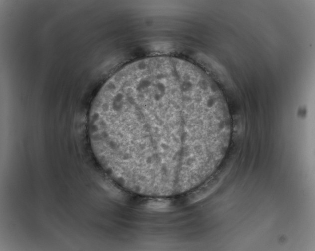 X0000101410369200808041110