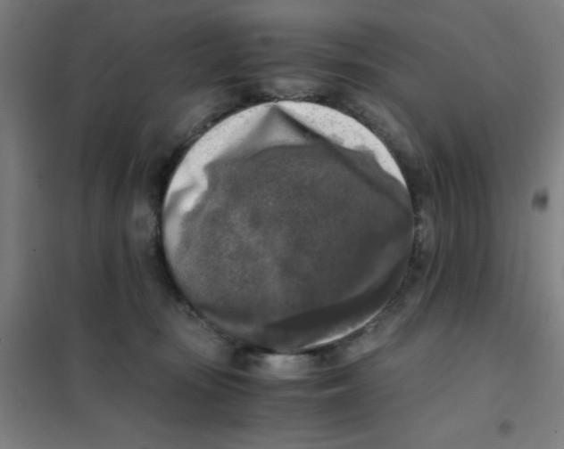 X0000101410371200808041110
