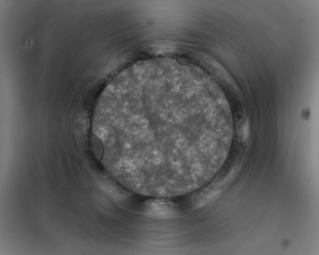 X0000101410372200808041110