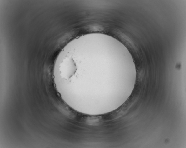 X0000101410373200808041110