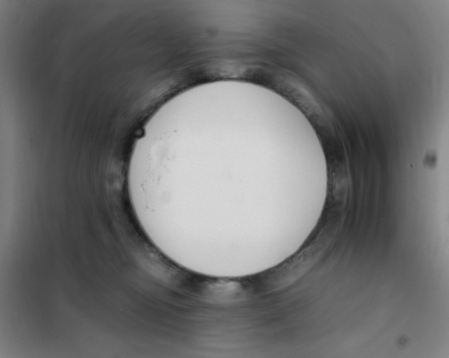 X0000101410374200808041110