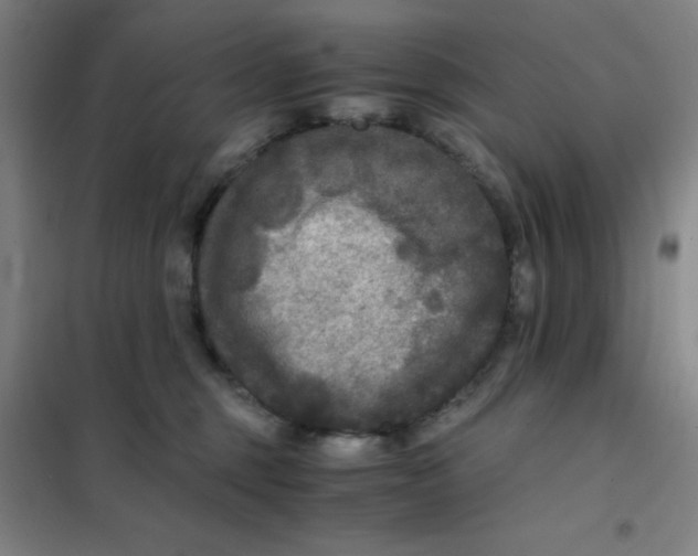 X0000101410375200808041110