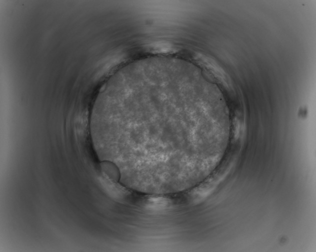 X0000101410376200808041110