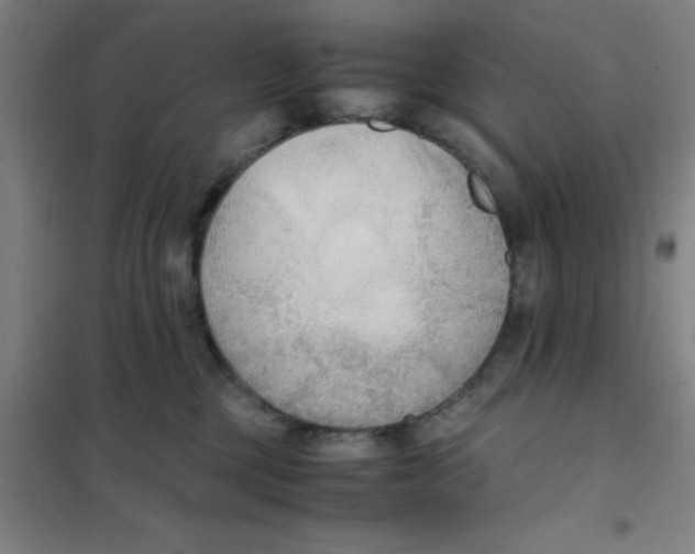 X0000101410377200808041110