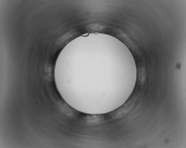 X0000101410378200808041110
