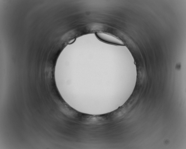 X0000101410379200808041110