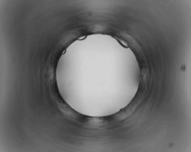 X0000101410380200808041110