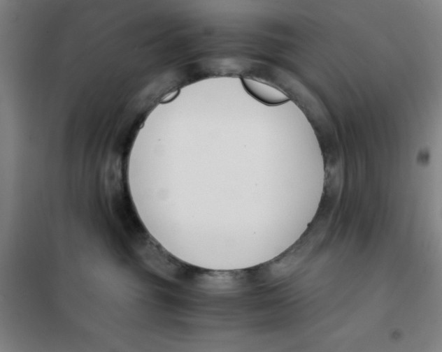 X0000101410381200808041110
