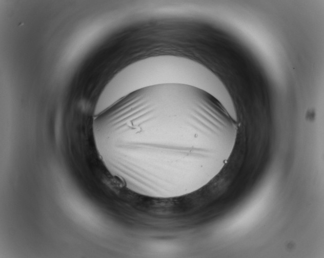 X0000101410382200808041110