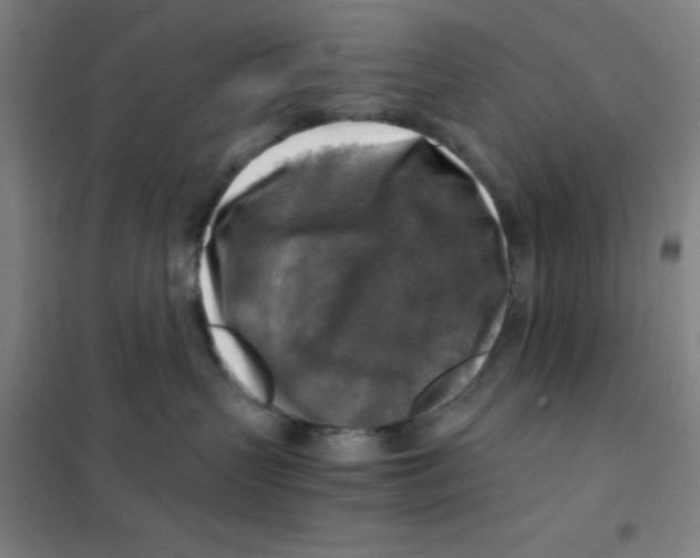 X0000101410383200808041110