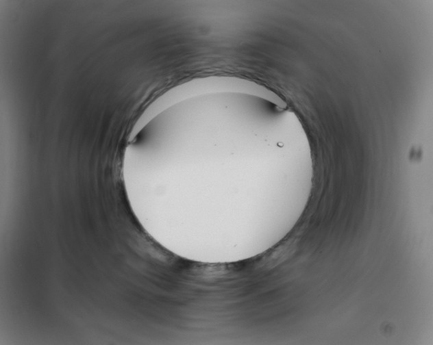 X0000101410384200808041110