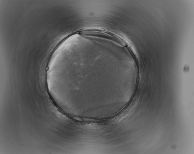 X0000101410385200808041109