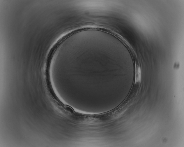 X0000101410387200808041109
