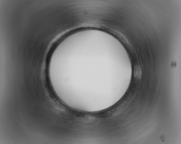 X0000101410388200808041109