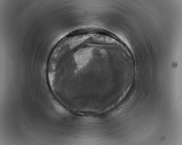 X0000101410389200808041109
