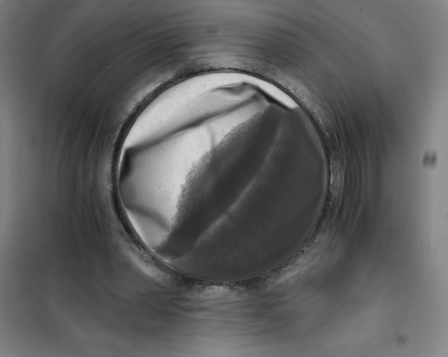X0000101410390200808041109