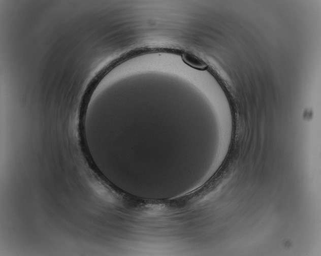 X0000101410391200808041109