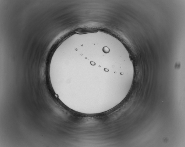 X0000101410392200808041109