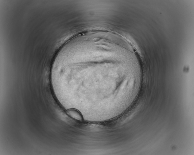 X0000101410393200808041109