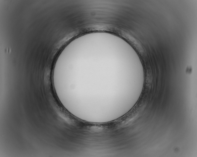 X0000101410394200808041109