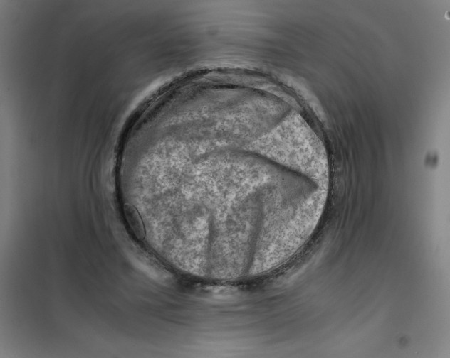 X0000101410395200808041109