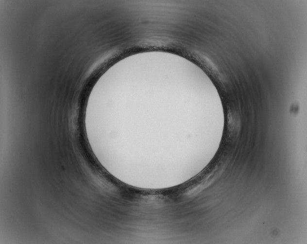X0000101410396200808041109