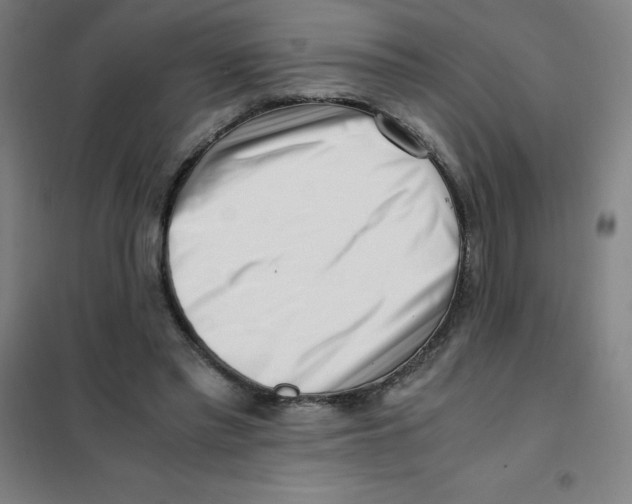 X0000101410397200808041109