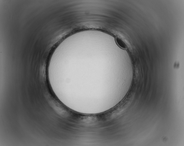 X0000101410398200808041109
