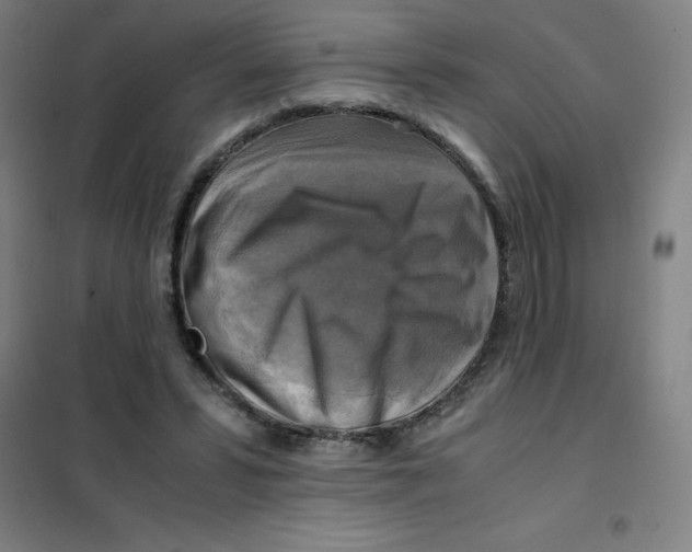 X0000101410399200808041109