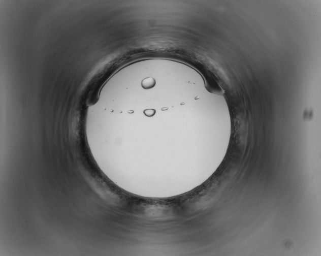 X0000101410400200808041109