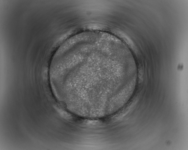 X0000101410401200808041109