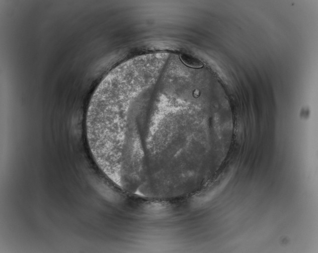 X0000101410402200808041109