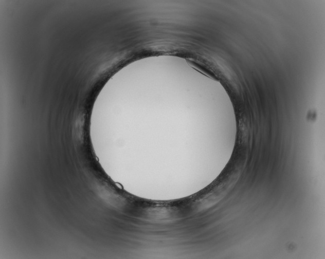 X0000101410404200808041109