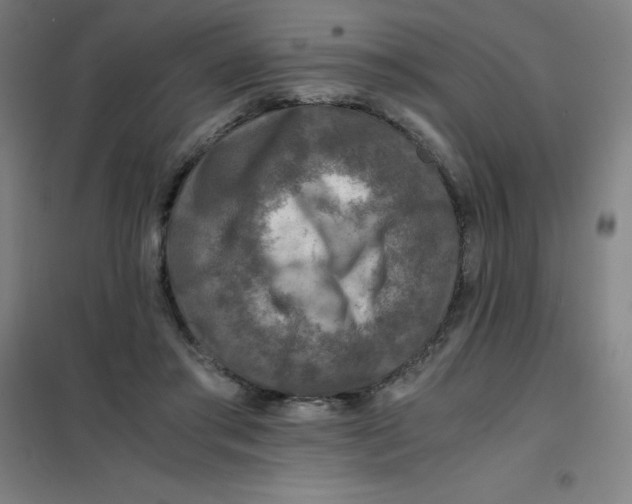 X0000101410405200808041109