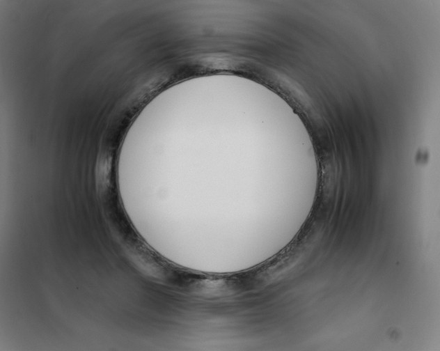 X0000101410406200808041109