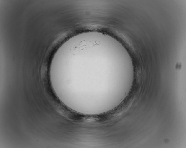 X0000101410407200808041109