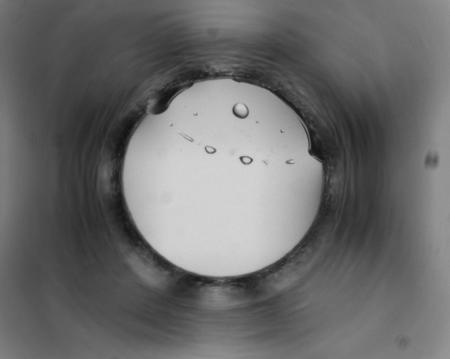 X0000101410408200808041109