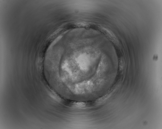 X0000101410409200808041109