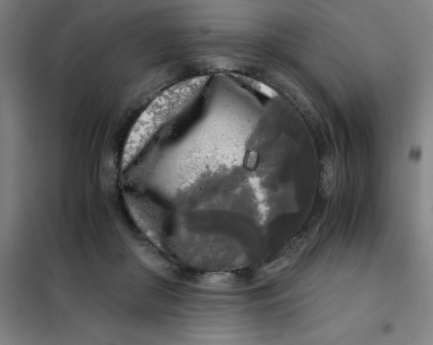 X0000101410410200808041109