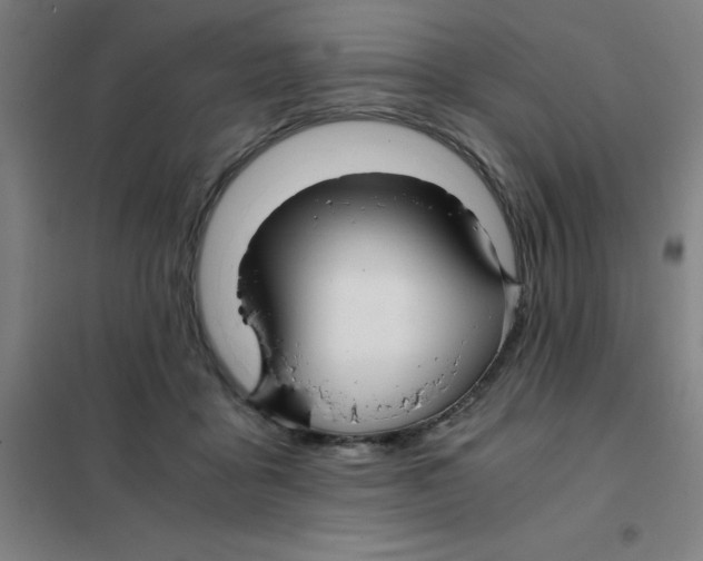 X0000101410411200808041109