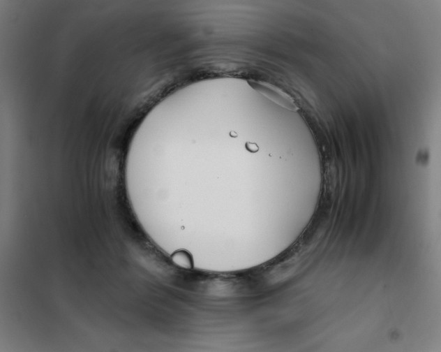 X0000101410412200808041109